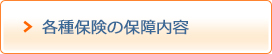 各種保険の保障内容