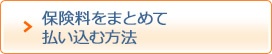 保険料をまとめて払い込む方法